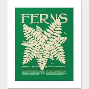 FERN Plant Shirt with Description and Cute Bugs Botany Shirt for Garden Lover Educational Gift Posters and Art